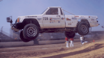 dino4.gif (42716 bytes)